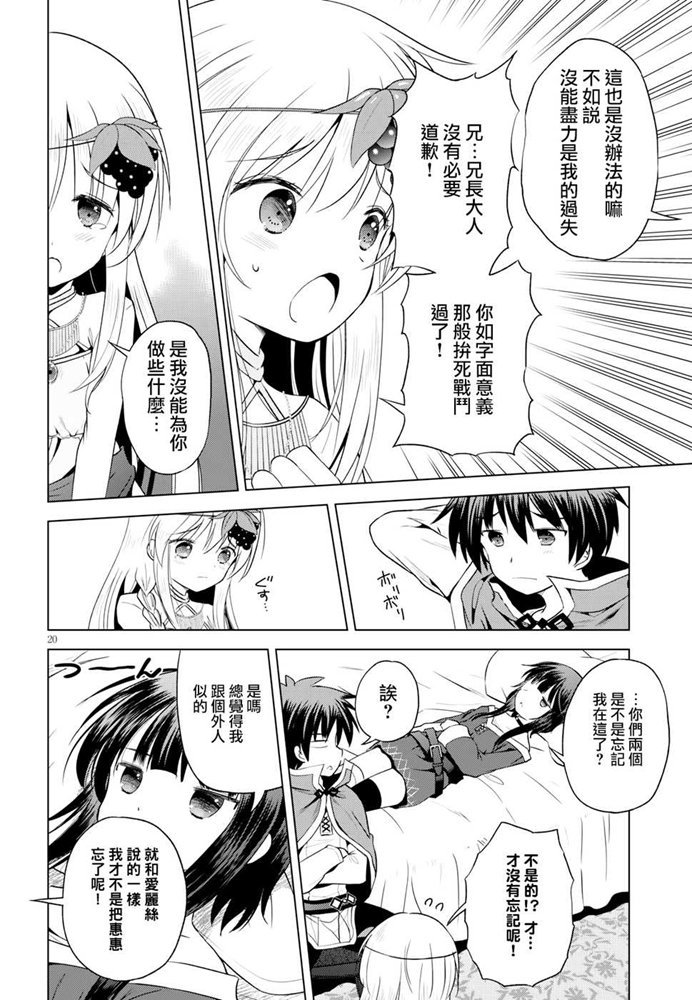 第 20 页