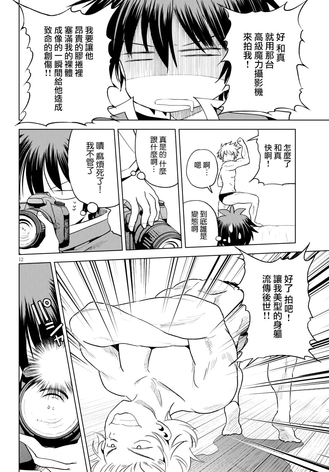 第 12 页