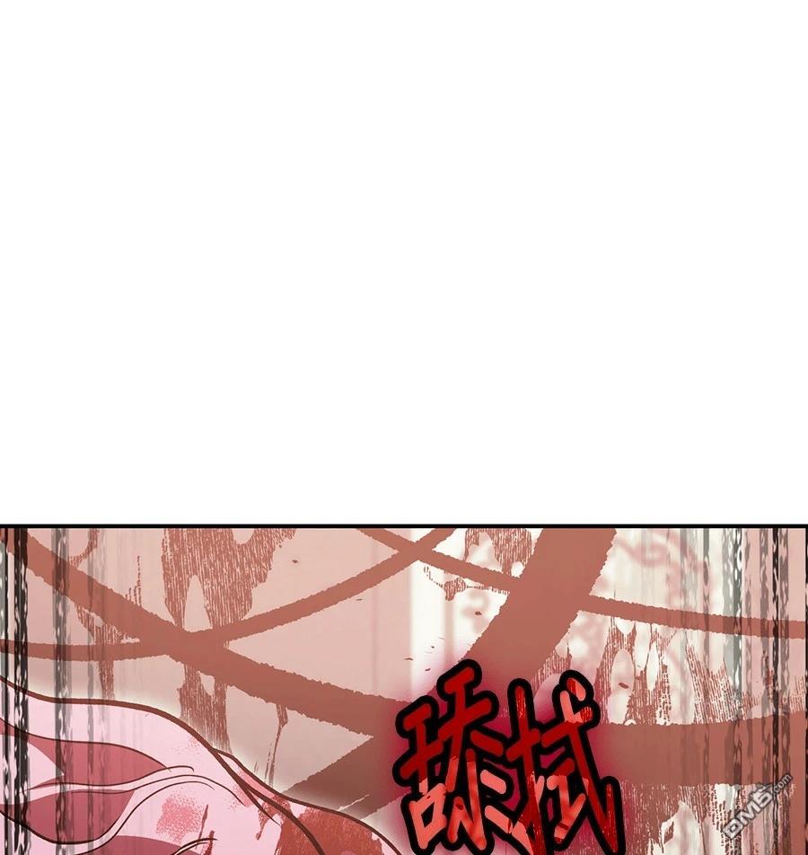 第 246 页