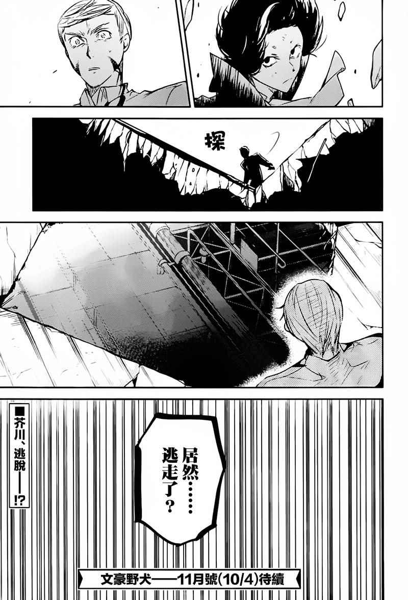 第 46 页