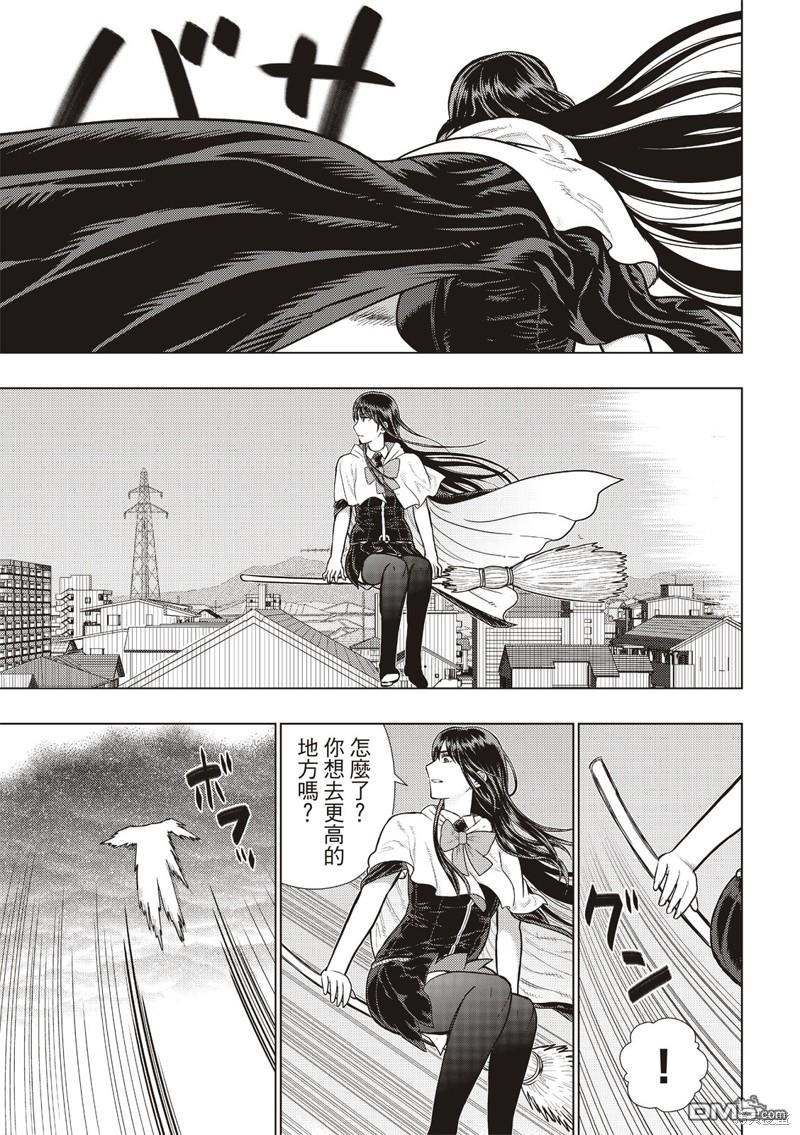 第 13 页