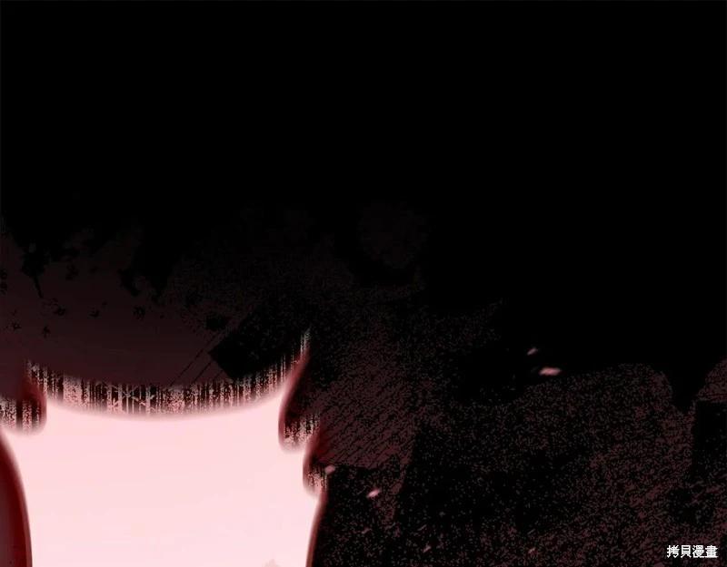 第 204 页