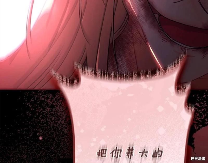第 206 页