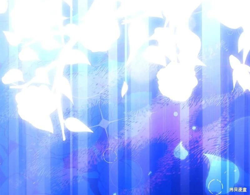 第 216 页