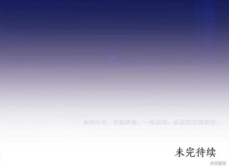 第 219 页