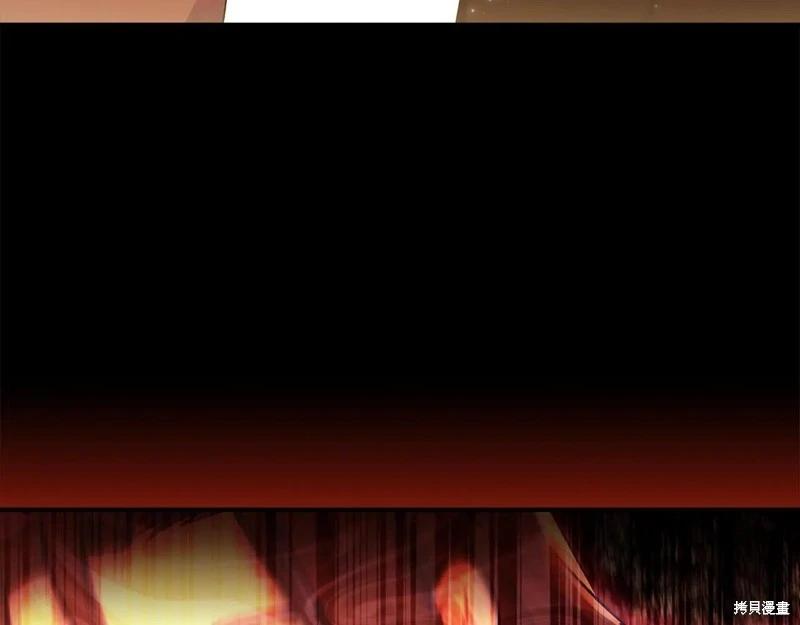 第 205 页