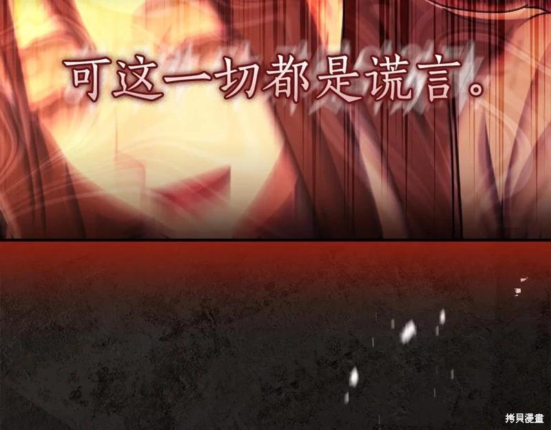 第 206 页