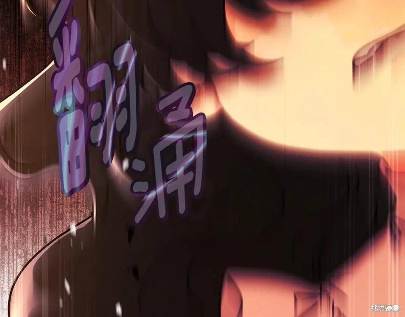第 209 页