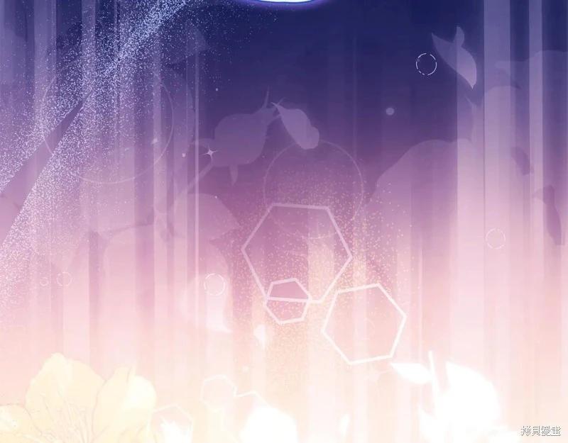 第 137 页