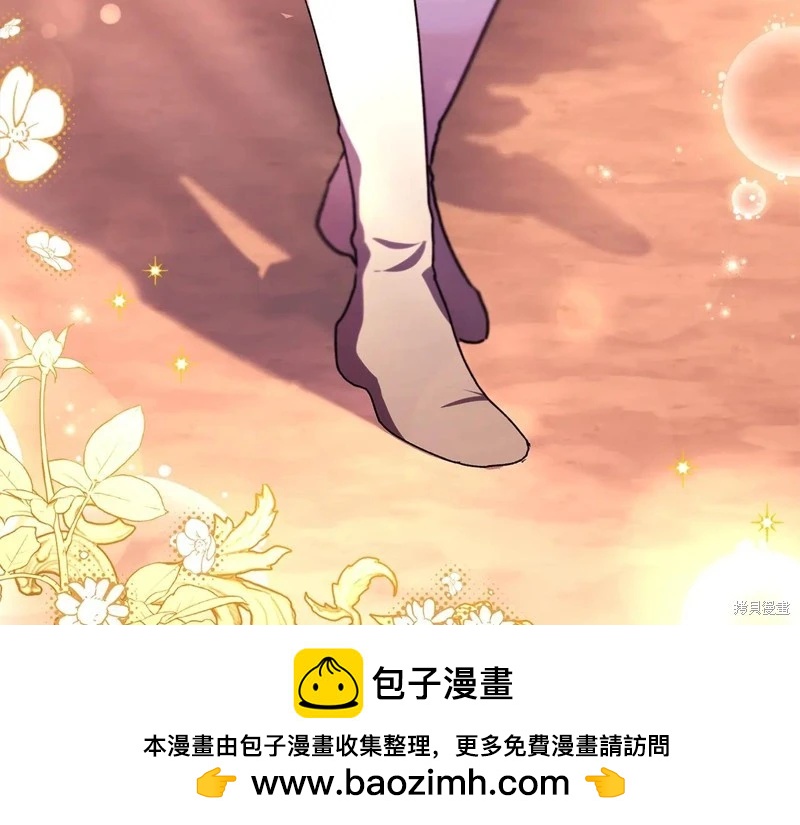 第 111 页