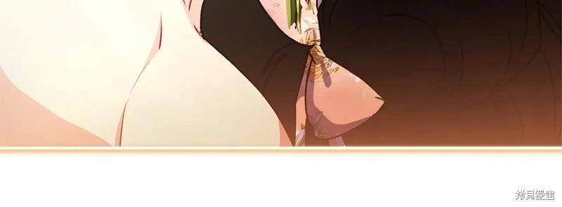 第 113 页