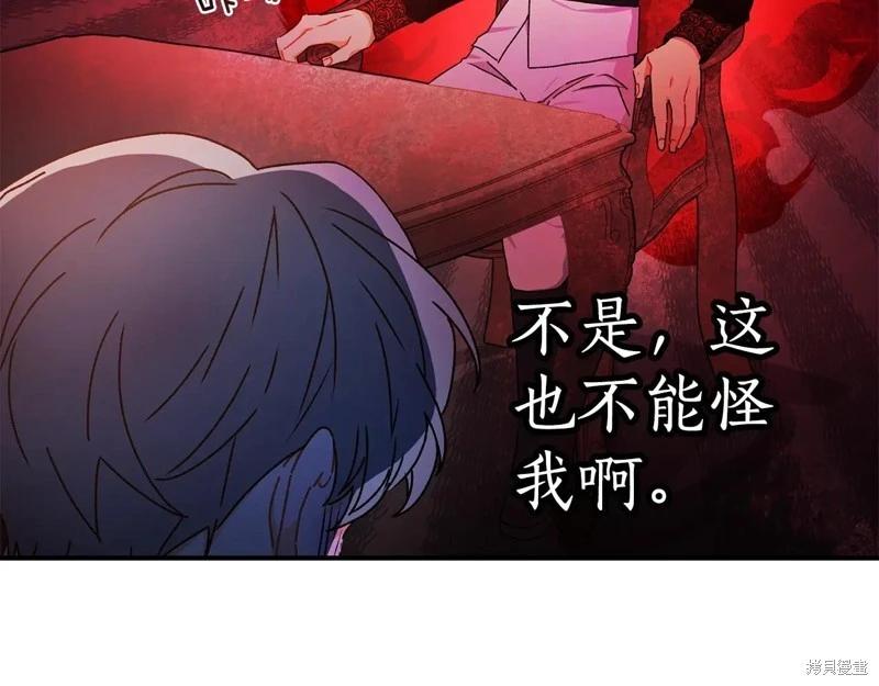 第 111 页