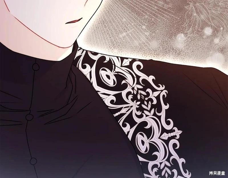 第 146 页