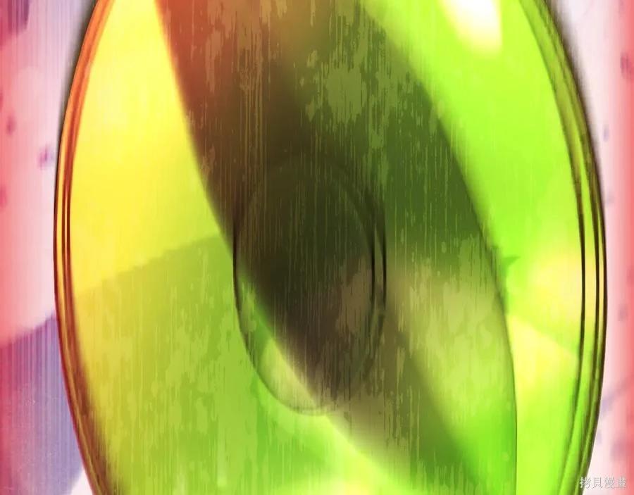 第 95 页