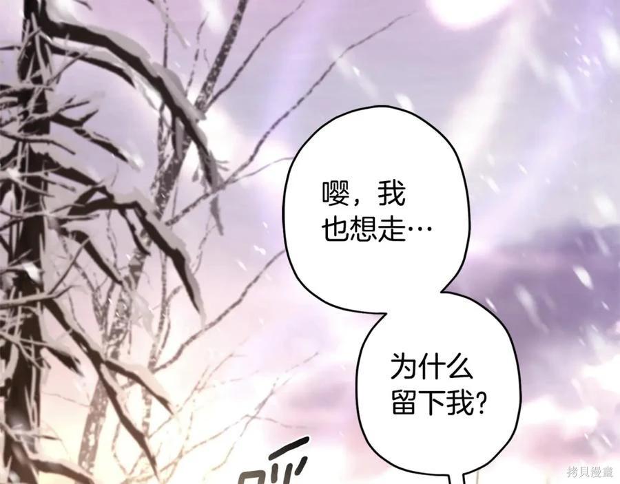 第 163 页