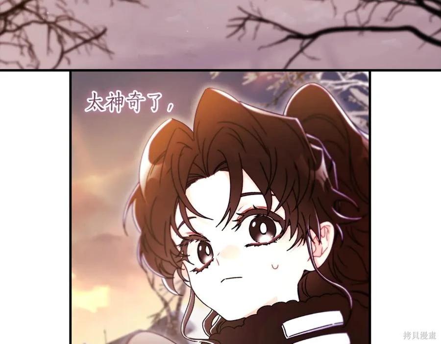 第 178 页