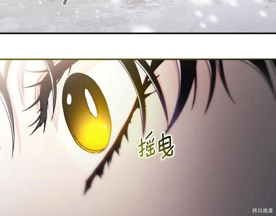 第 204 页