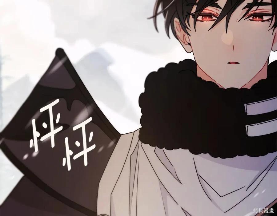 第 207 页