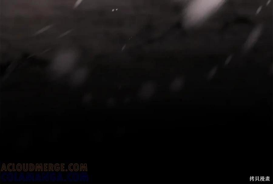 第 213 页