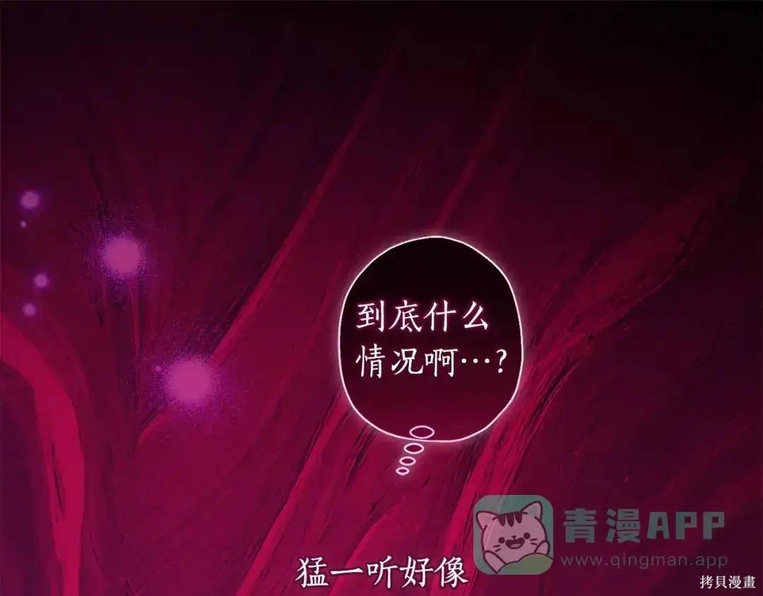 第 121 页