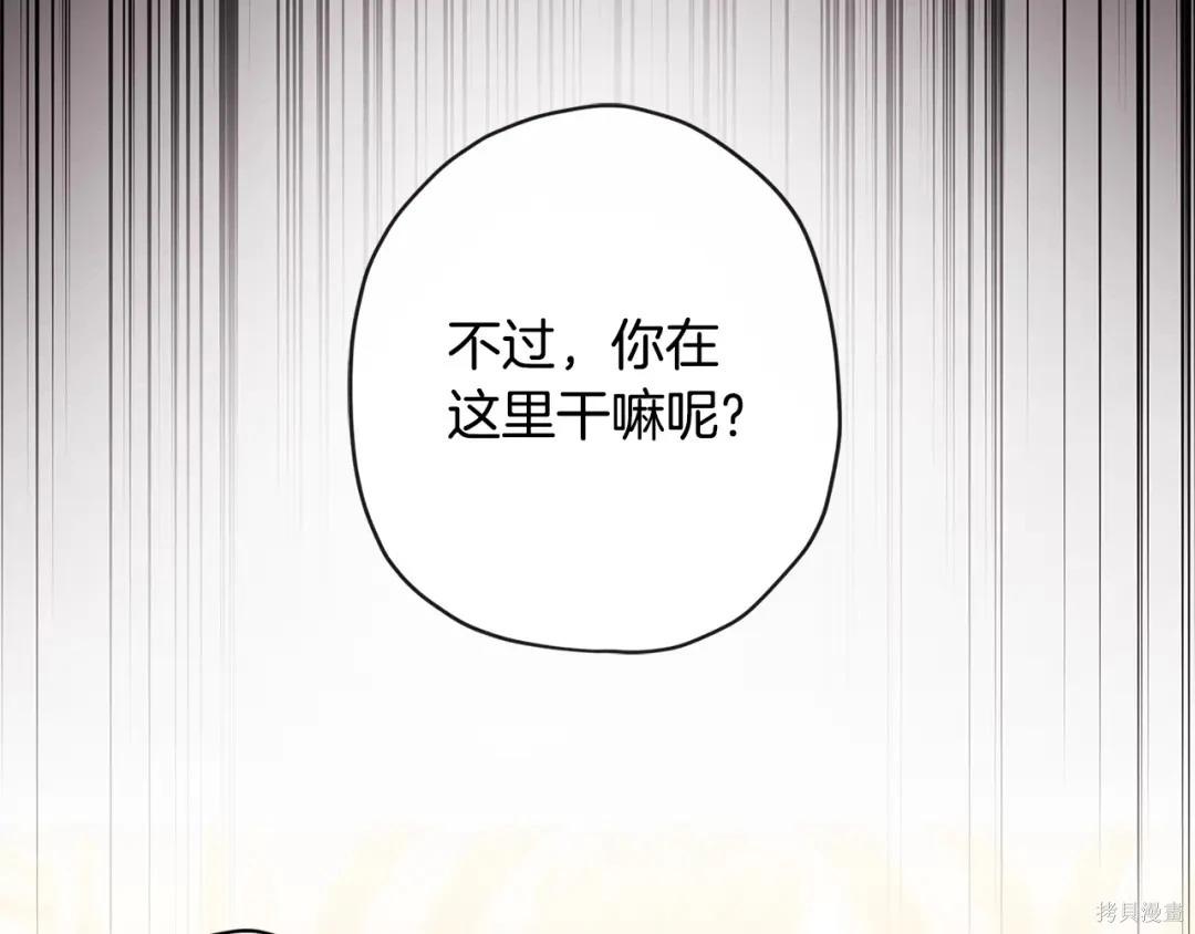 第 127 页