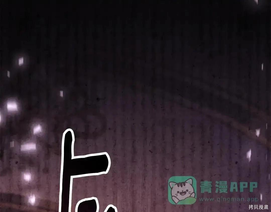 第 116 页