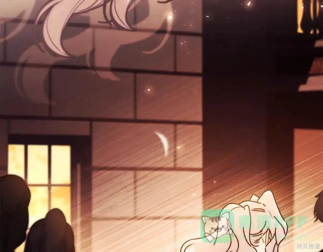 第 161 页