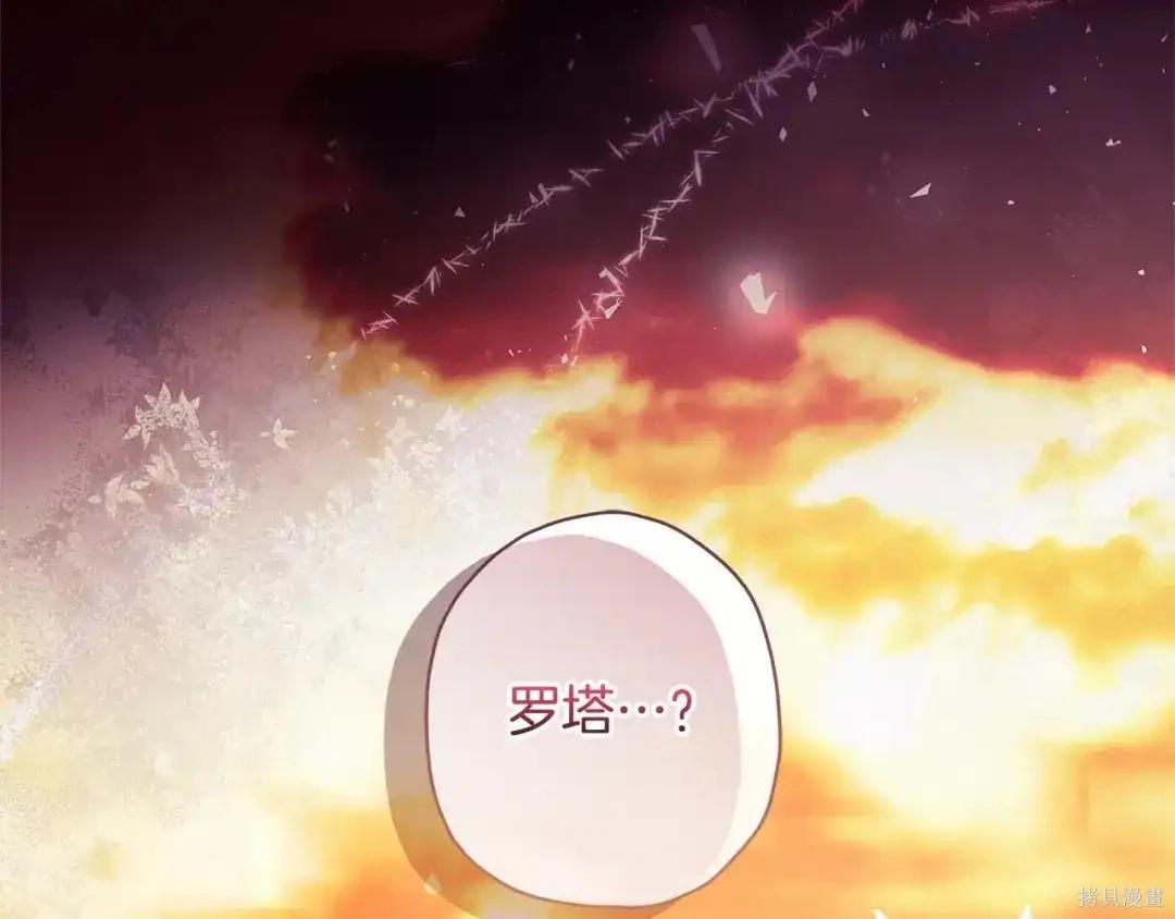 第 205 页