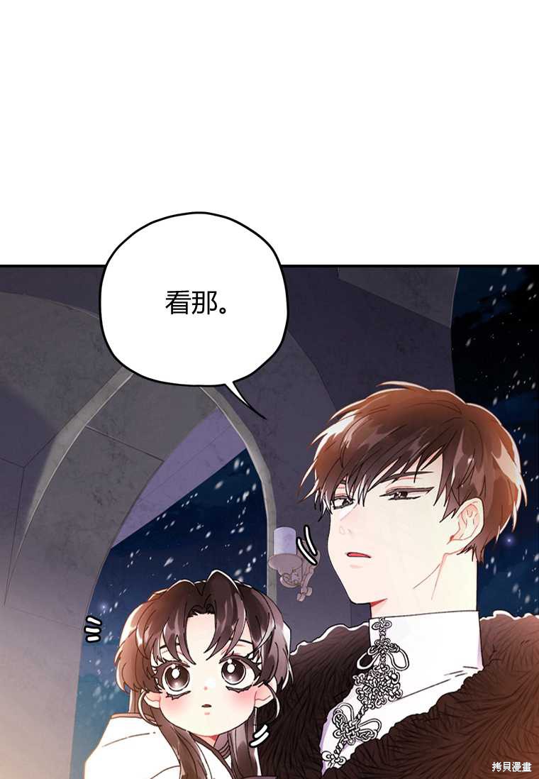 第 51 页