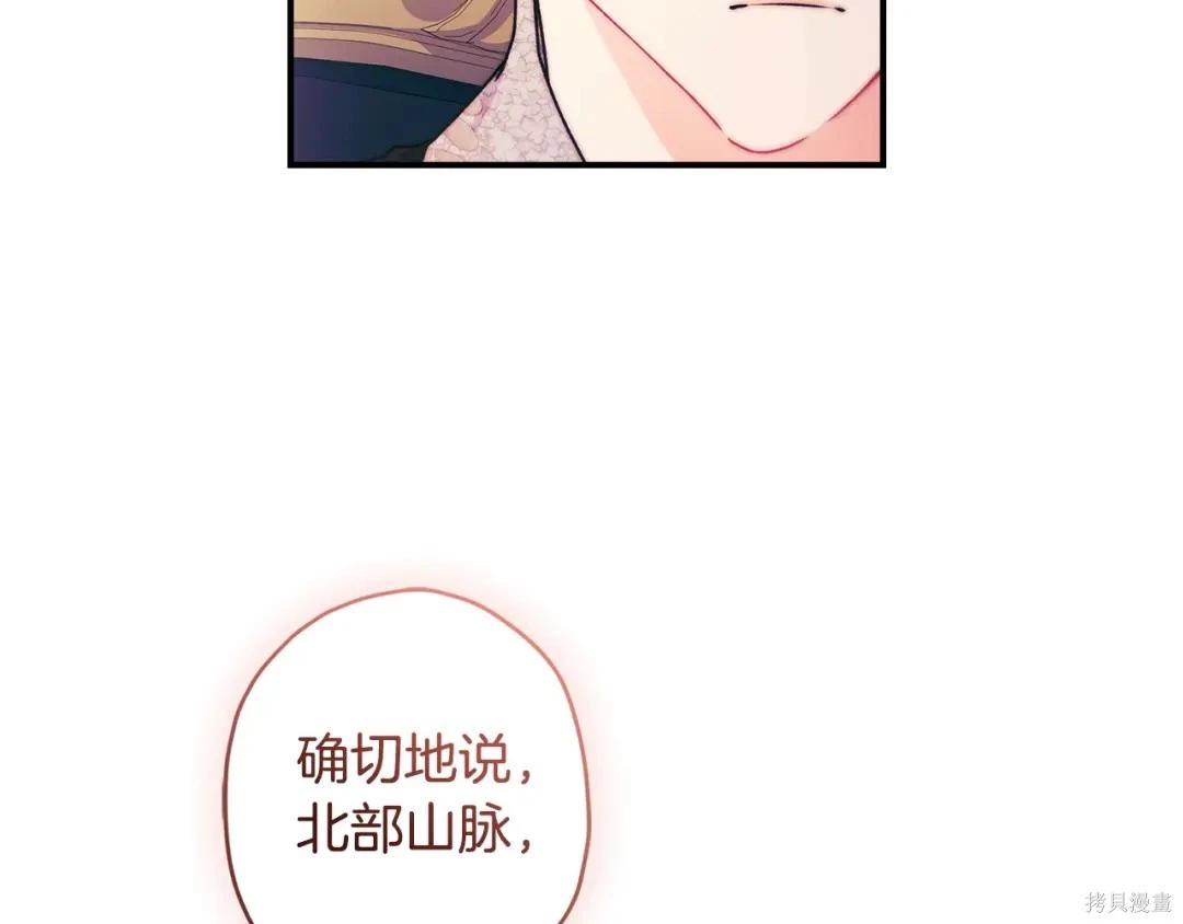 第 204 页
