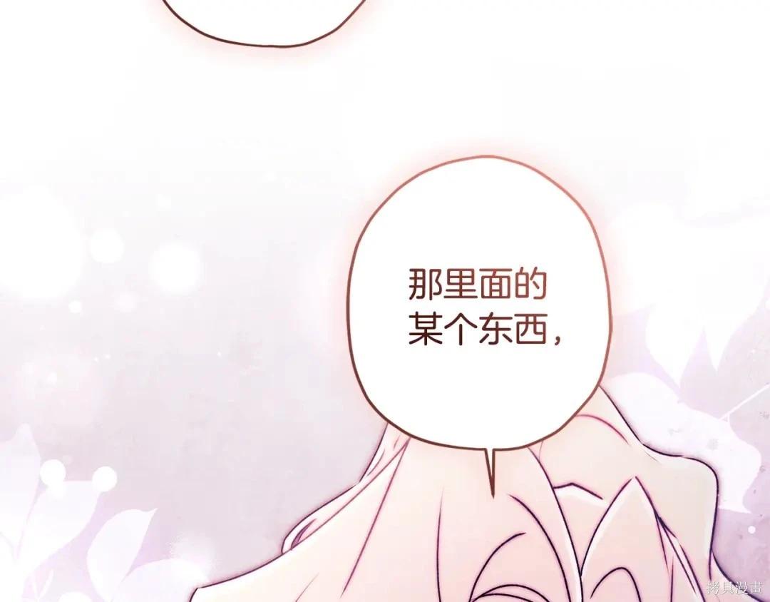 第 205 页