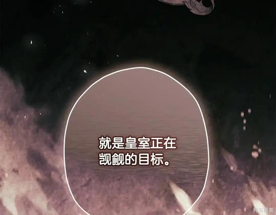 第 213 页