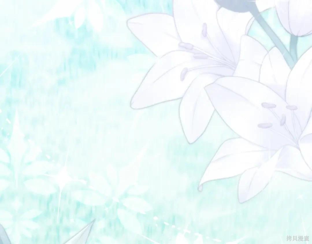 第 223 页