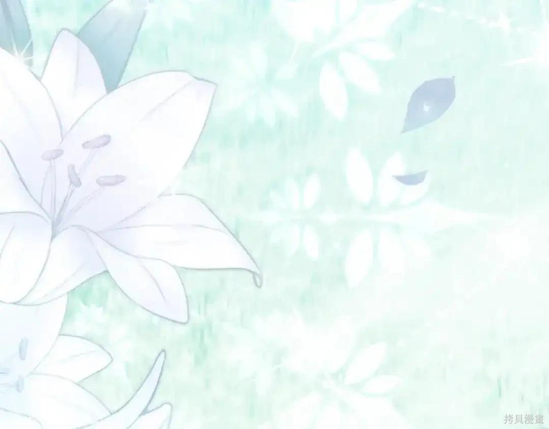 第 224 页