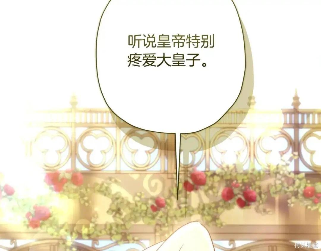 第 111 页