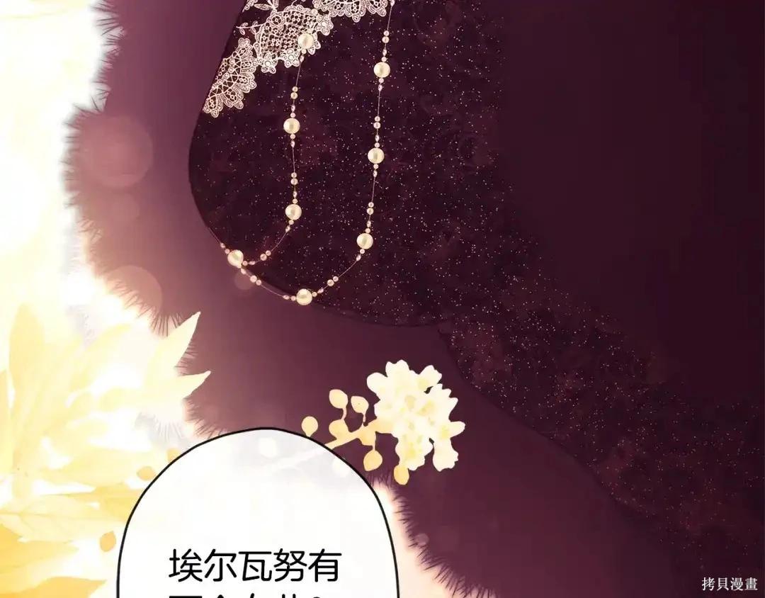 第 113 页