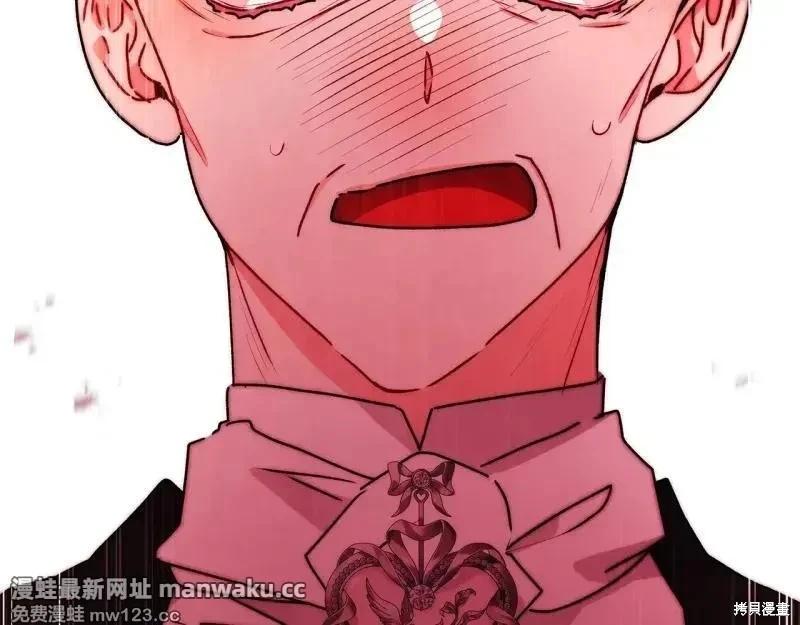 第 216 页