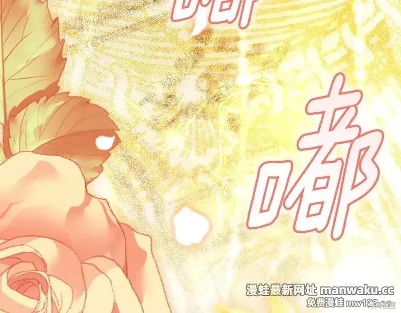 第 141 页