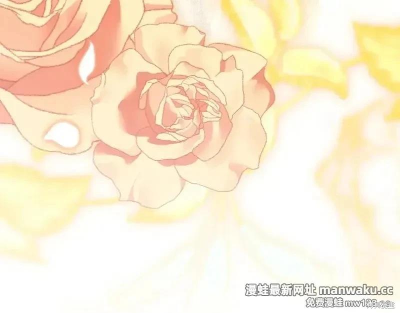 第 142 页