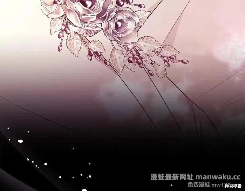 第 203 页