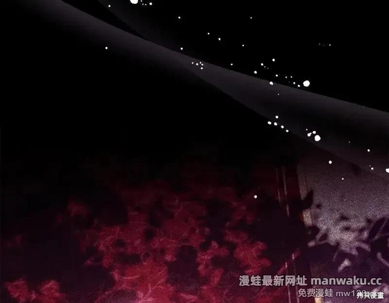 第 204 页
