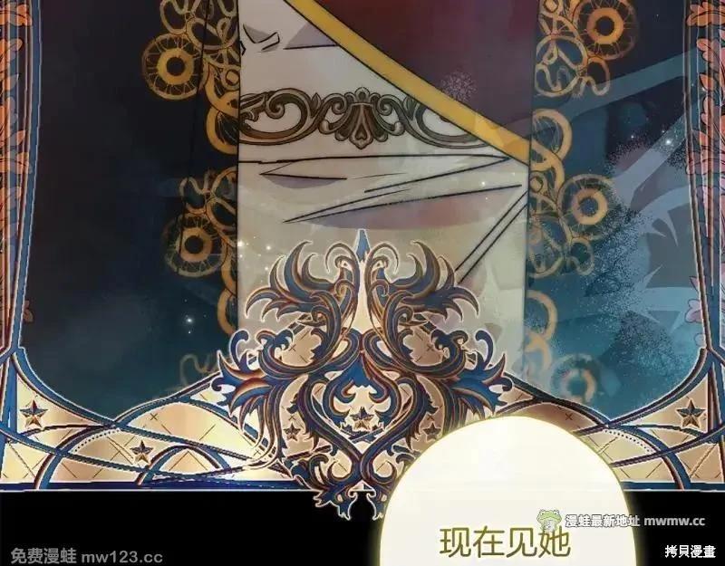 第 111 页