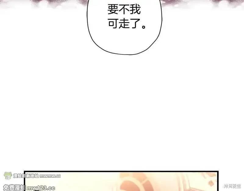 第 204 页