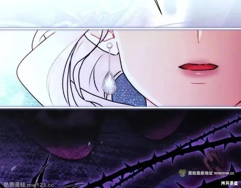 第 216 页