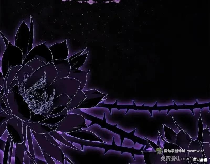 第 221 页
