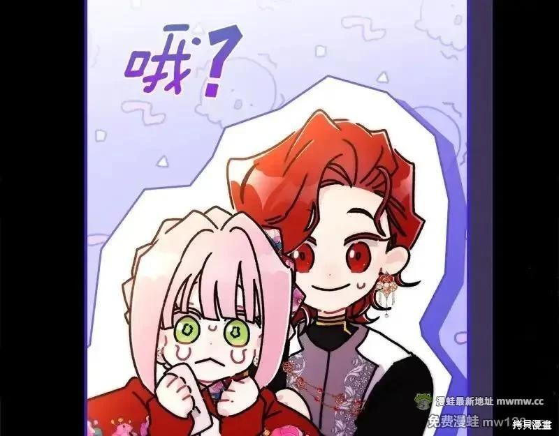 第 223 页