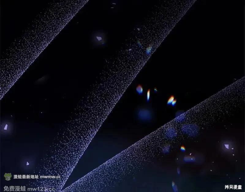 第 225 页