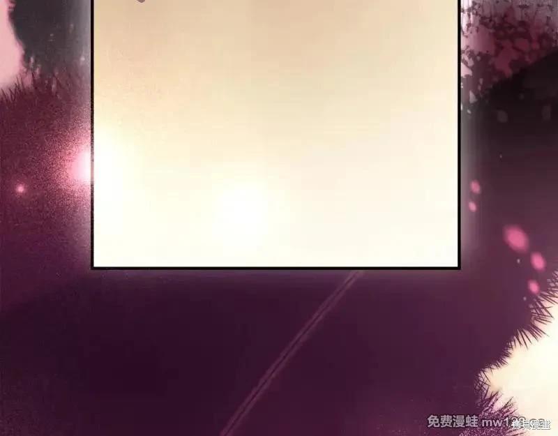第 162 页