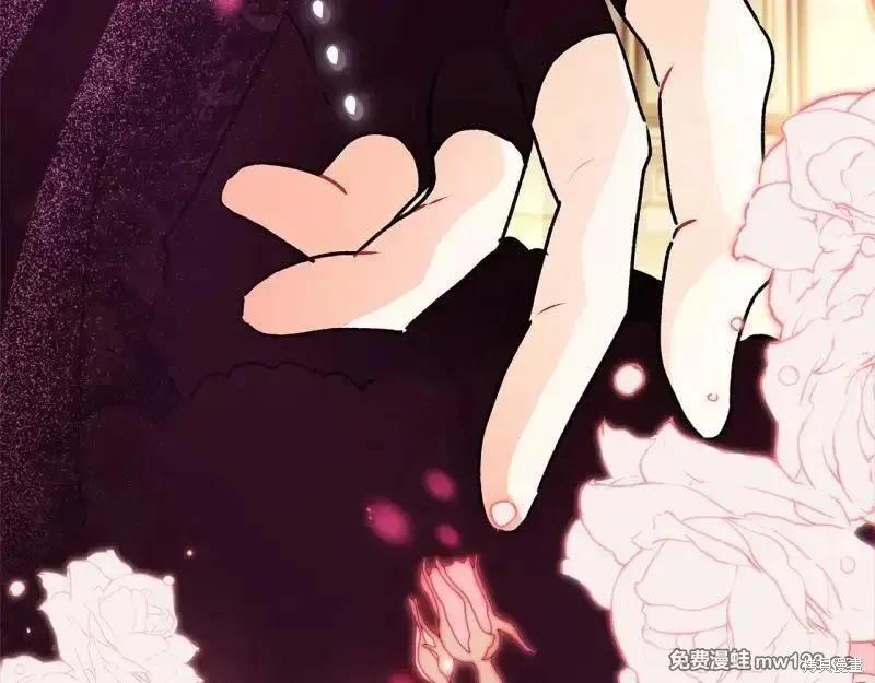 第 164 页