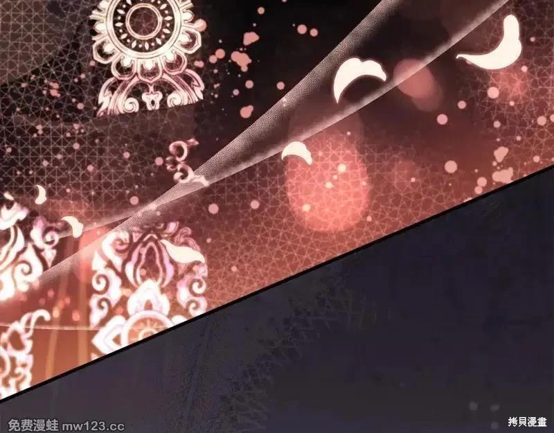 第 205 页